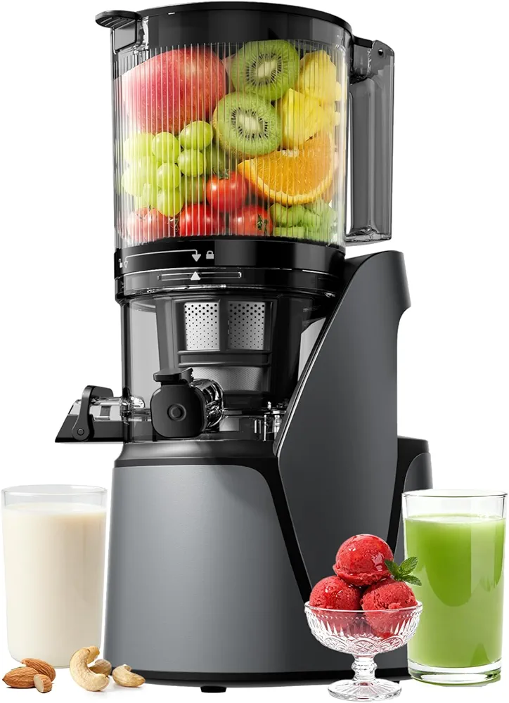 Slow Juicer