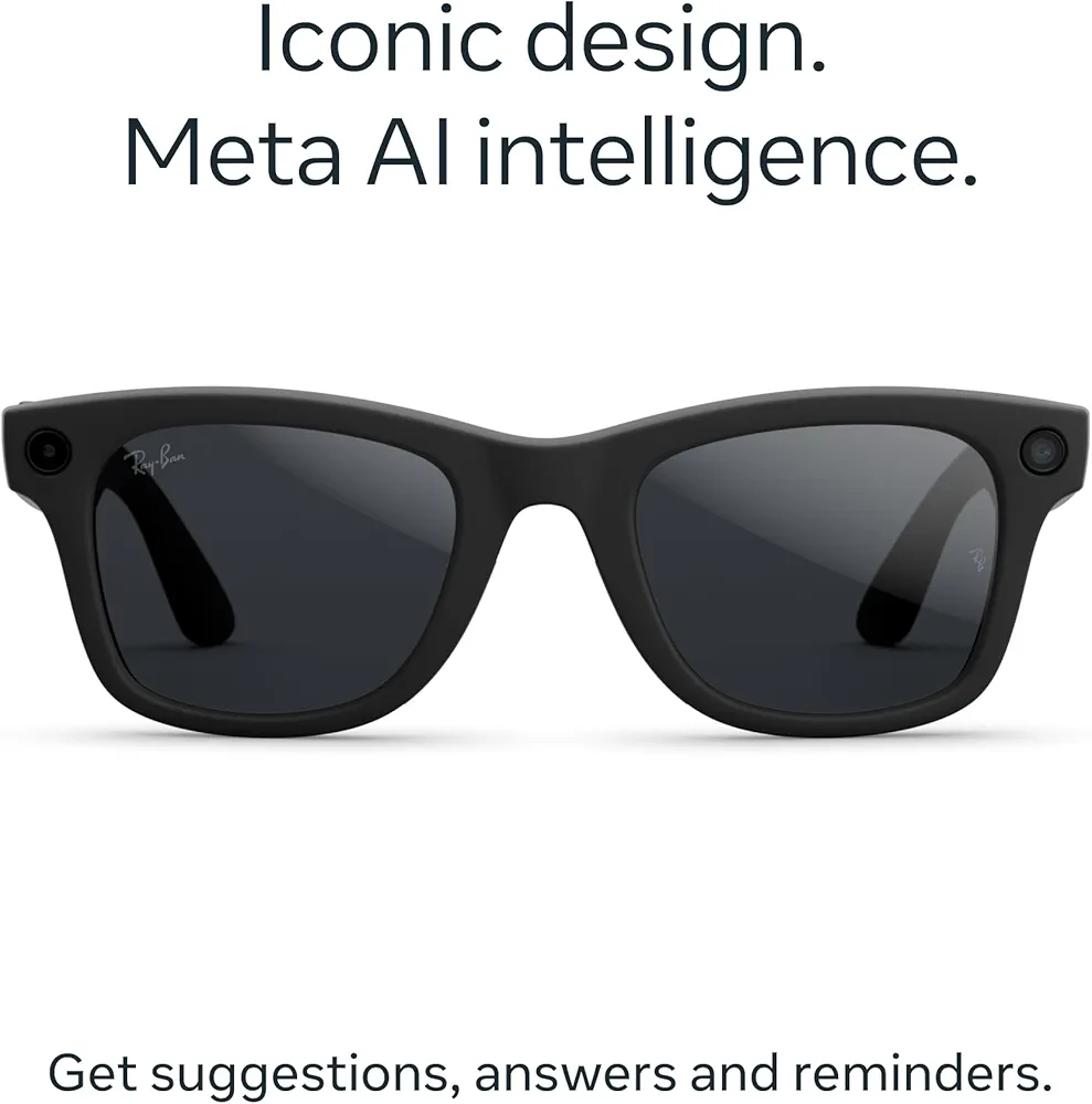 Meta Wayfarer