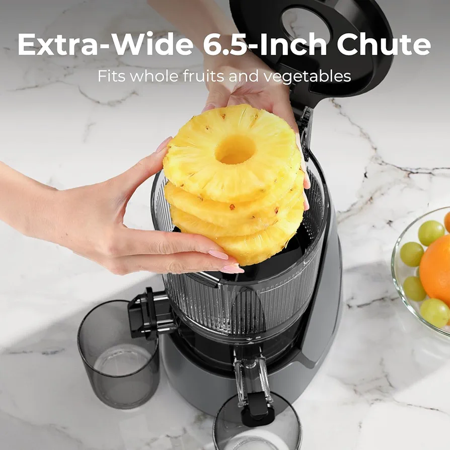 Slow Juicer